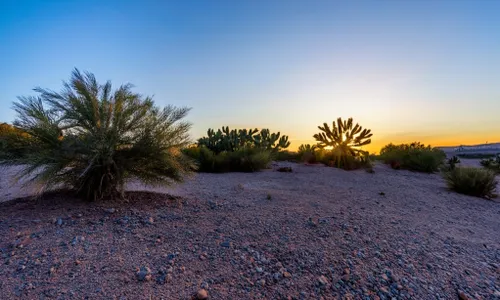 Desert Sunset Serenity FREE Stock Photo, desert,  sunset,  landscape picture