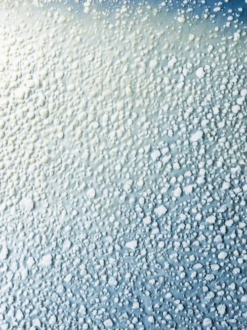 Frosted Texture Background FREE Stock Photo, ice, cold, wallpaper picture