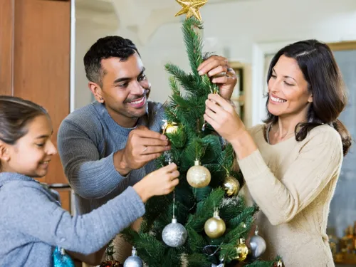 Free Joyful Family Decorating stock image to download Joyful Family Decorating FREE Stock Photo, tree, winter family, family at home picture